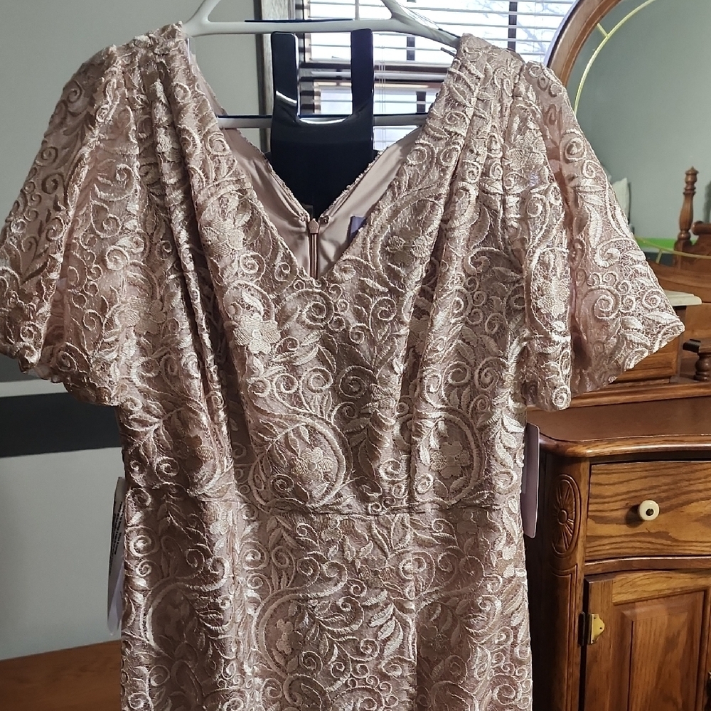 Elegant Lace Dress in Cream